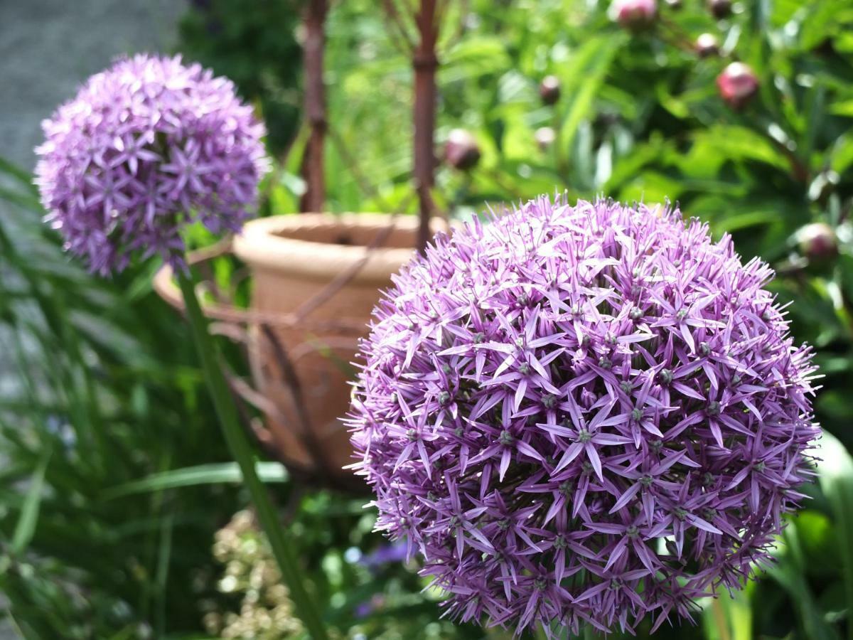 Ferienhaus In Der Schlipfing Mit Garten Altmünster Kültér fotó