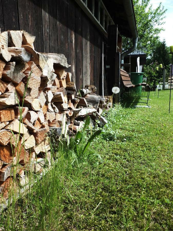 Ferienhaus In Der Schlipfing Mit Garten Altmünster Kültér fotó