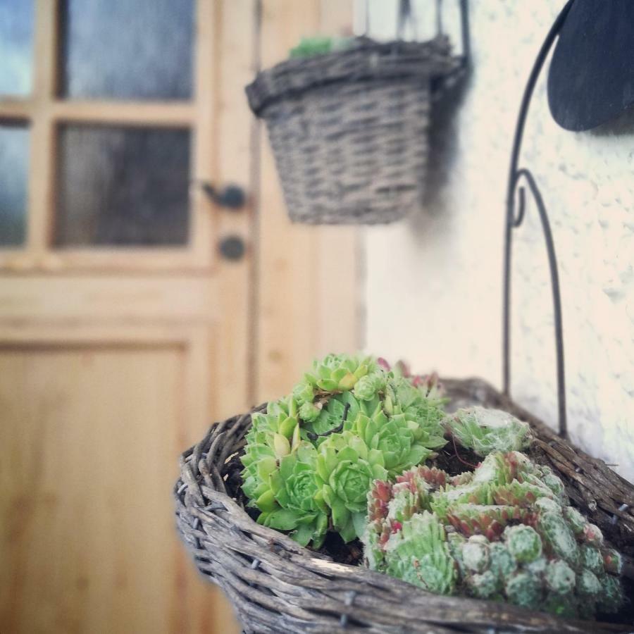 Ferienhaus In Der Schlipfing Mit Garten Altmünster Kültér fotó